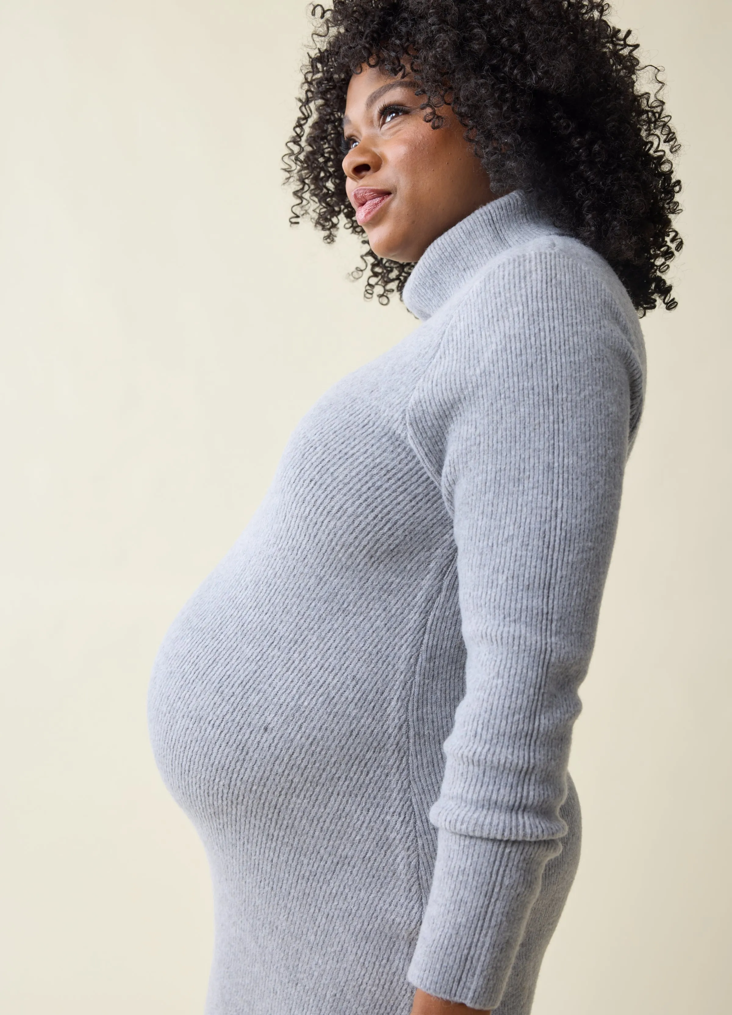 The Transition Turtleneck Maternity Sweater Dress